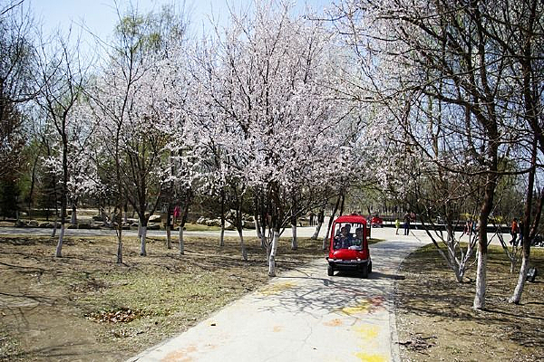 �����һ�