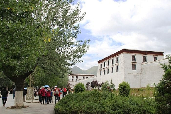 ����������ͷ