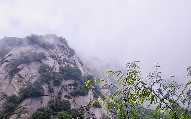 �ұ�����