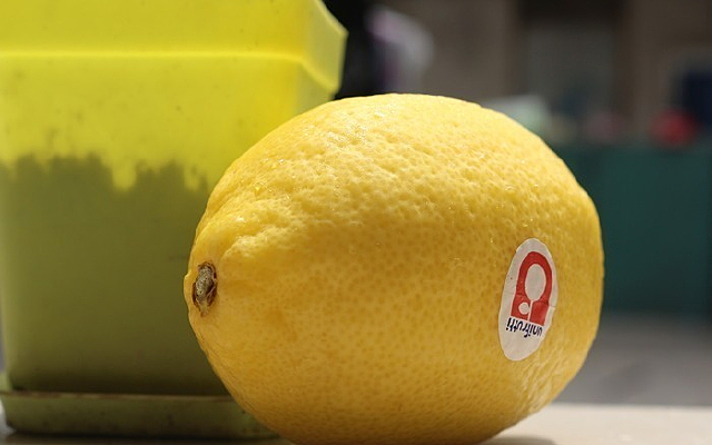 һ������