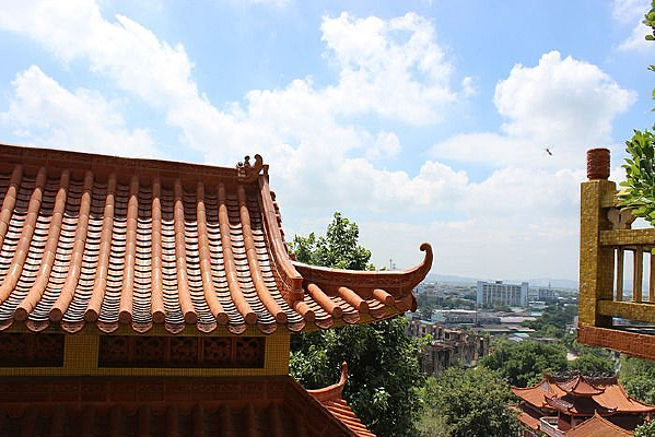 ��ɫ������