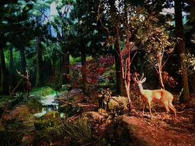 ÷��¹����