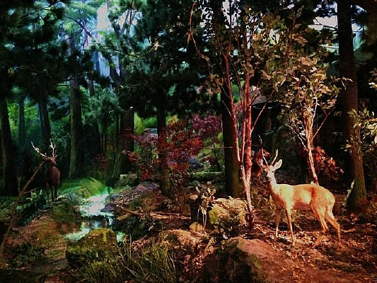 ÷��¹����