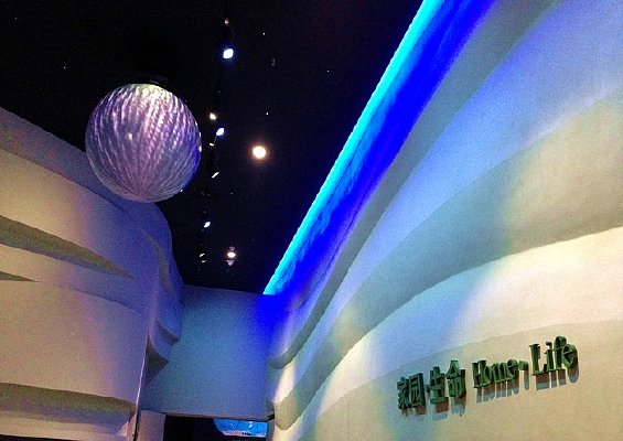 �����װ��