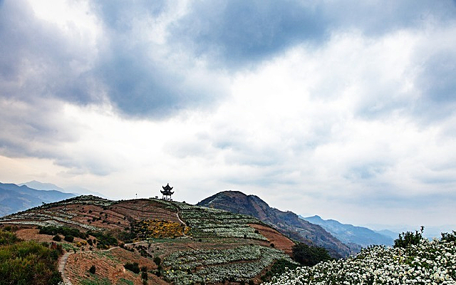 ��ɽ����