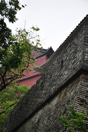 �Ŵ���ɫΧǽ