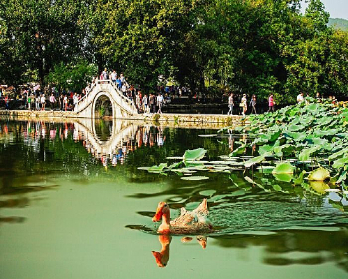 ��塪�Ϻ����