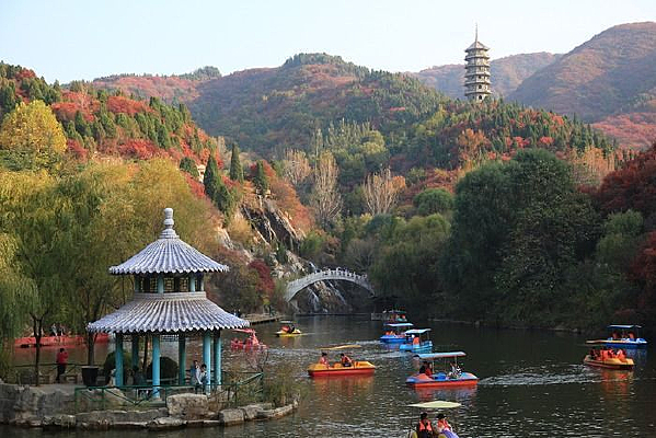 ��Ҷ������