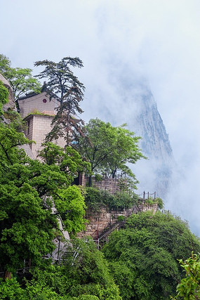 ɽ������