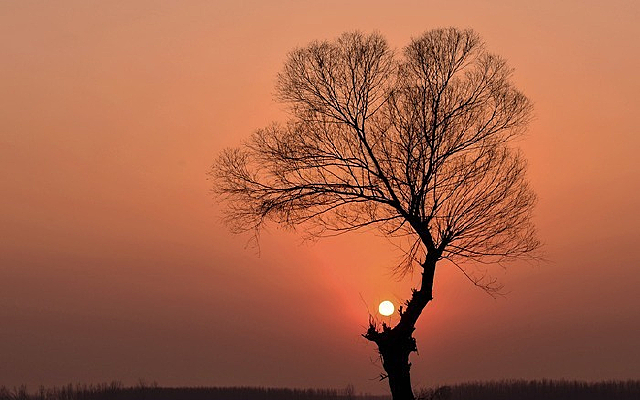 Ϧ���¹���