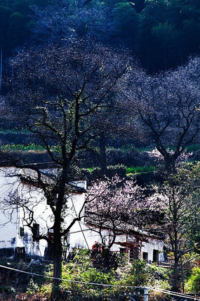 ����ũ��