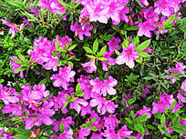 ���ؽ���