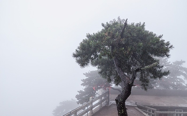 ��ɽһ����