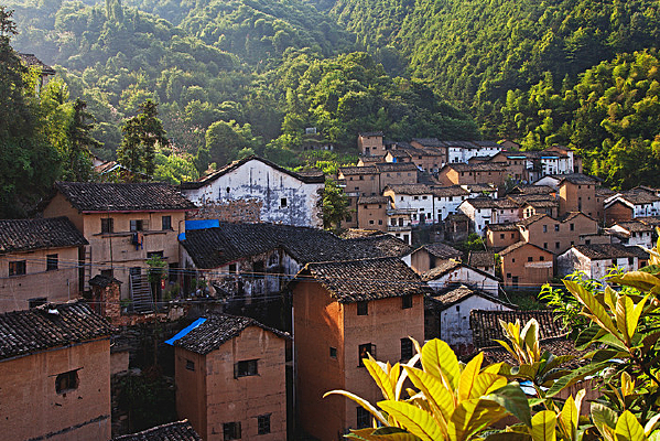 ������¥