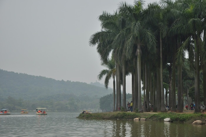 ��������Ĵ�ͼƬ