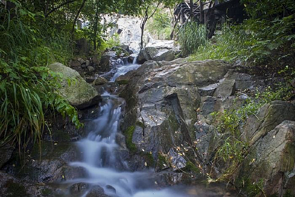 ����ɽ�ٲ�