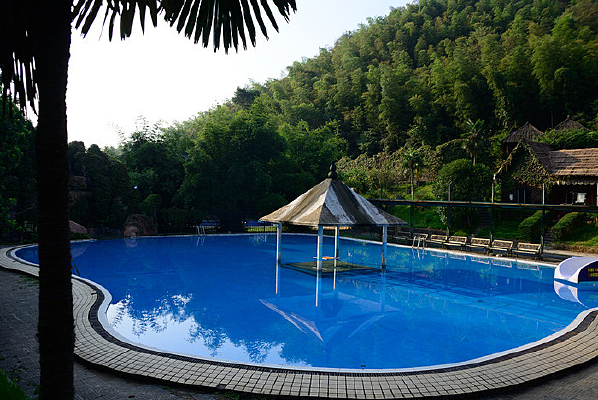 ��ɫ����Ӿ��