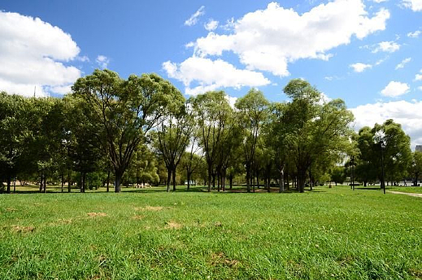 ����ݵ�����