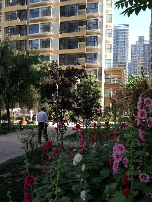 ¥������