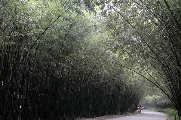 �����ضɹ�