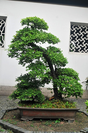 ľ�����ϼһ�԰