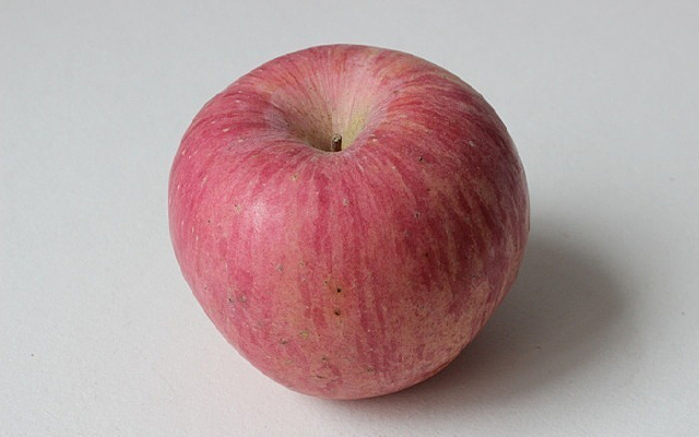 ��ʿ��ƻ��