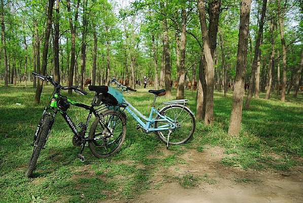 ���л��ֵĵ���