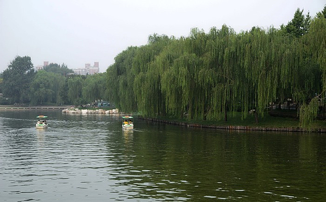 ��ѧ����