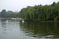 ��ѧ����