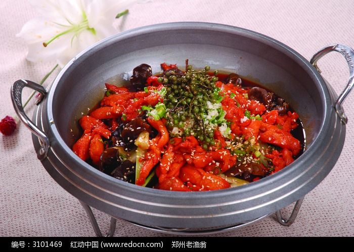 ���Ʈ�㼦ͼƬ