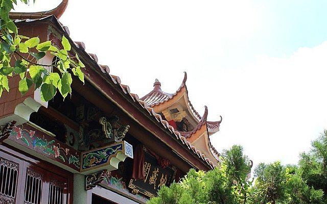 �ص�����