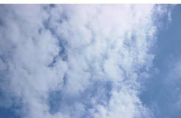 ��ɫ���黨