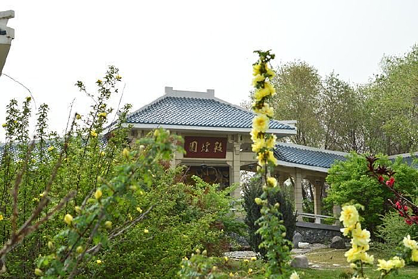 ����ֲ��԰�Ļ�