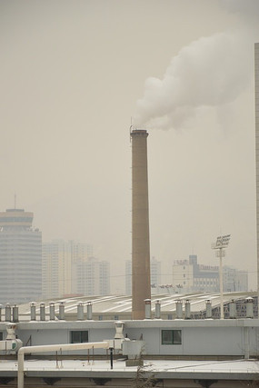 ���̴��̴�