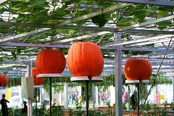 ũҵʾ������