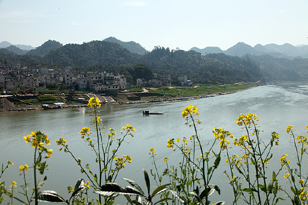 �°������