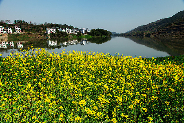 �ƻ�����