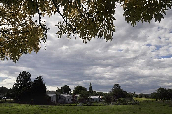 ����С��