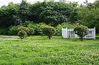 �̻�������