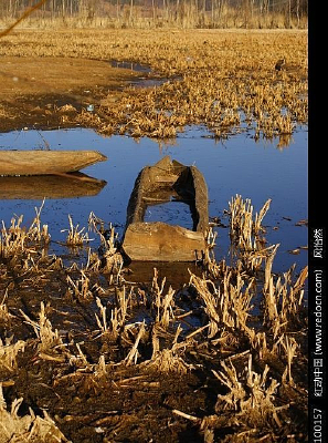 �����Ķɿ�