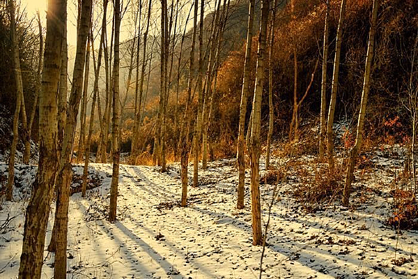 �������峿