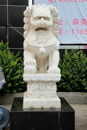 ������ʨ�ӵ���