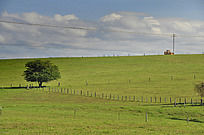 ����Χ��