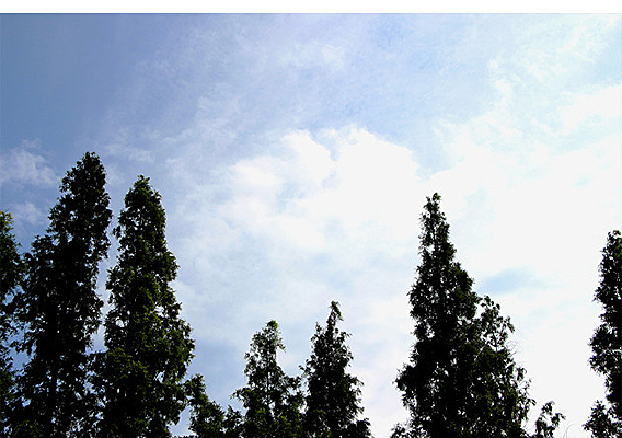 ��ɫ����ɫ