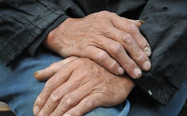 �����Ͷ���