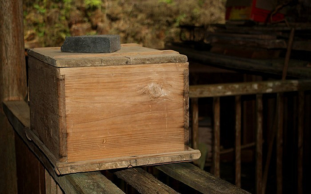 �۷�����