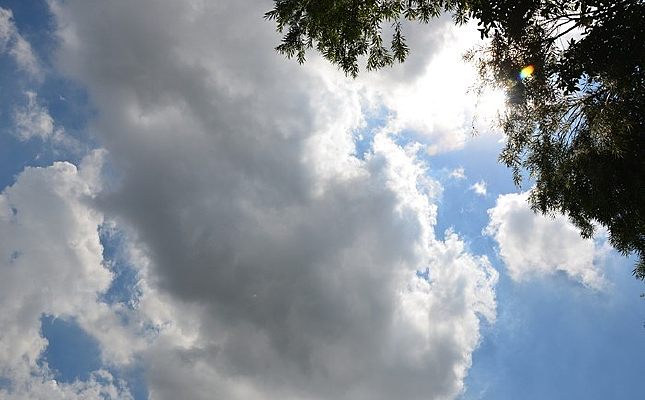 Ʈ����Ҷ��