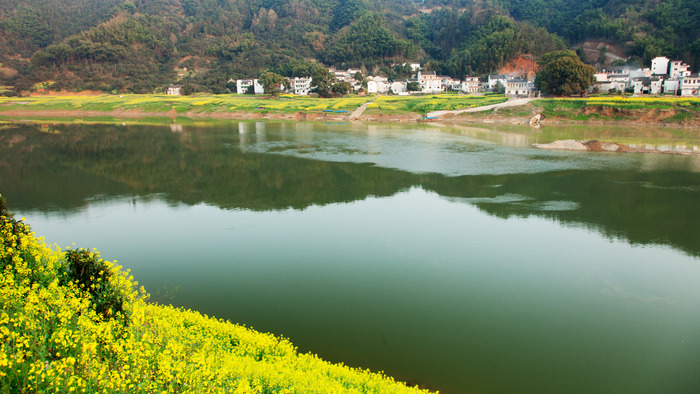 �°����Ͳ˻�