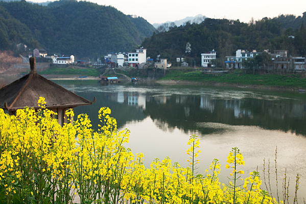 ��ɫ����ֽ