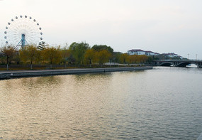 Ϧ���µ�Ħ����